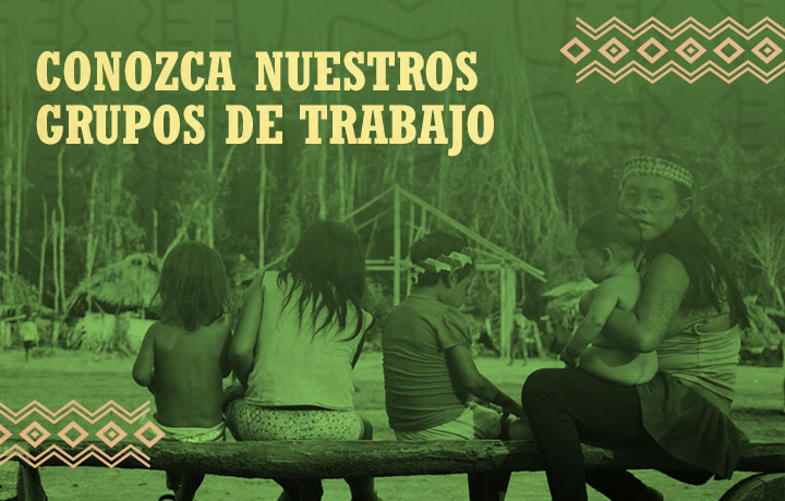 Grupos de Trabajo