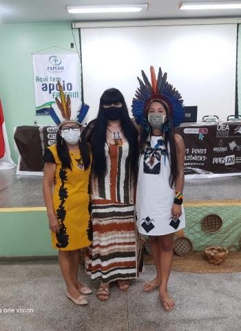 Ii Cipif15